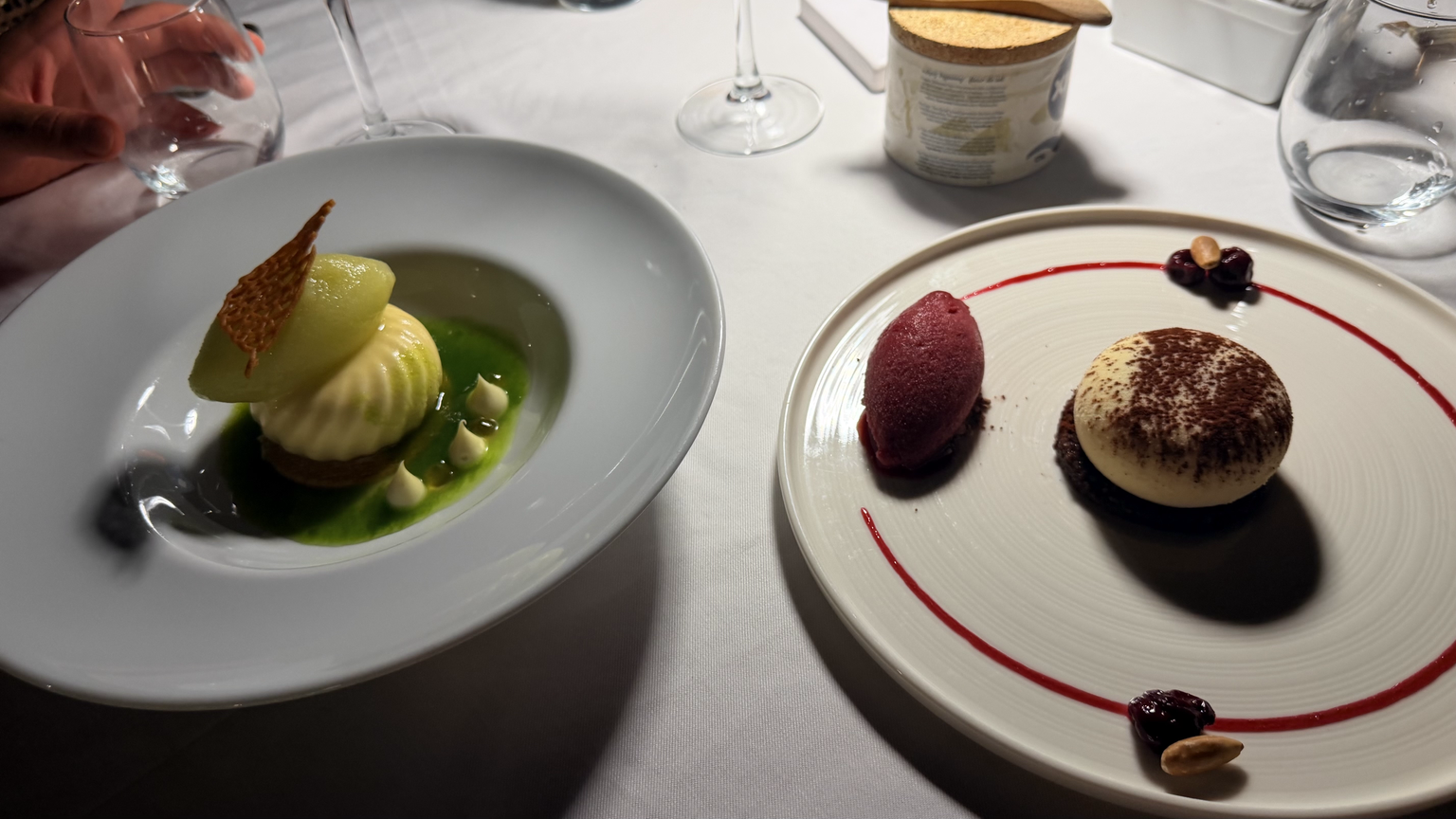 Tiramisu and Yogurt-Chamomile desserts
